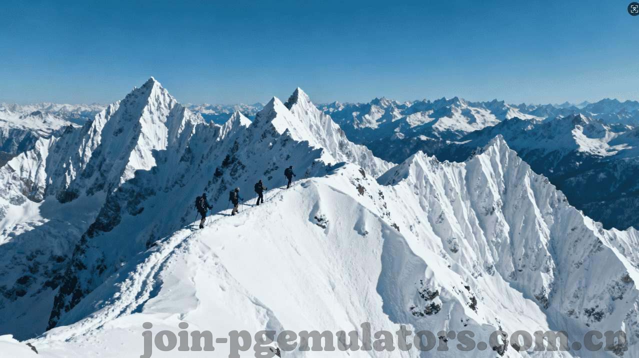 星空体育平台官网-星空体育平台官网，开启多元化体育盛宴的新篇章