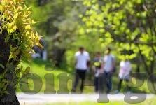 足球比分直播首页-探秘足球比分直播首页，球迷的实时信息枢纽